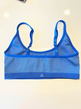 Vitality Blue Seamless Ribbed Sports Bralette